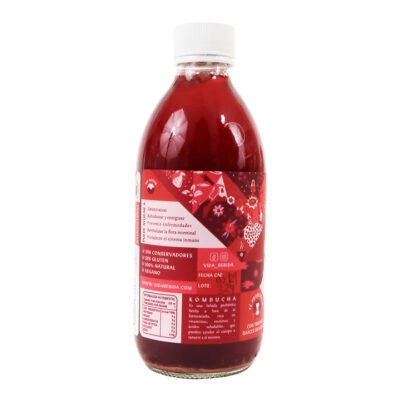 Kombucha Jamaica 355ml - Image 3