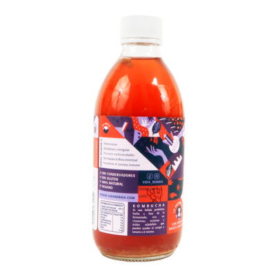 Kombucha Moras Silvestres 355ml - Image 4