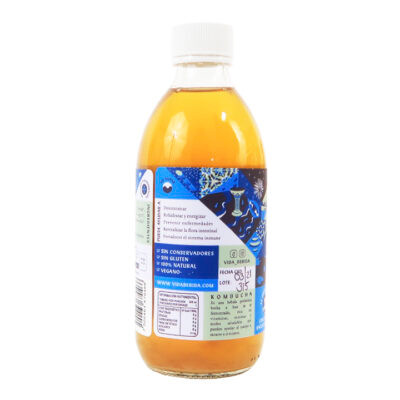 Kombucha Original 355ml - Image 4