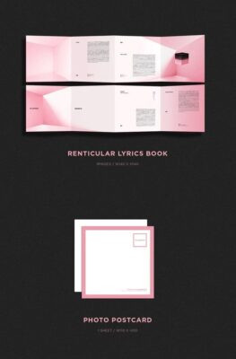 Blackpink Mini Album Vol. 1 Square Up - Image 9