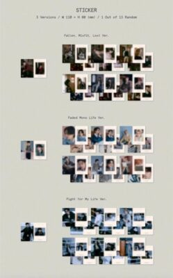 Seventeen 10th Mini Album FML - Image 8